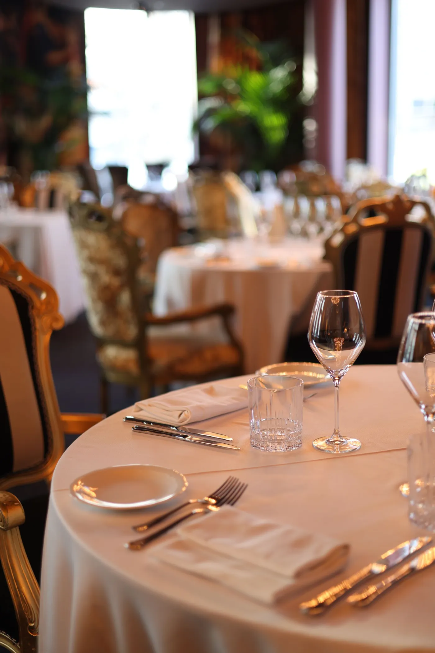Premium Retail & Dining — reference photography